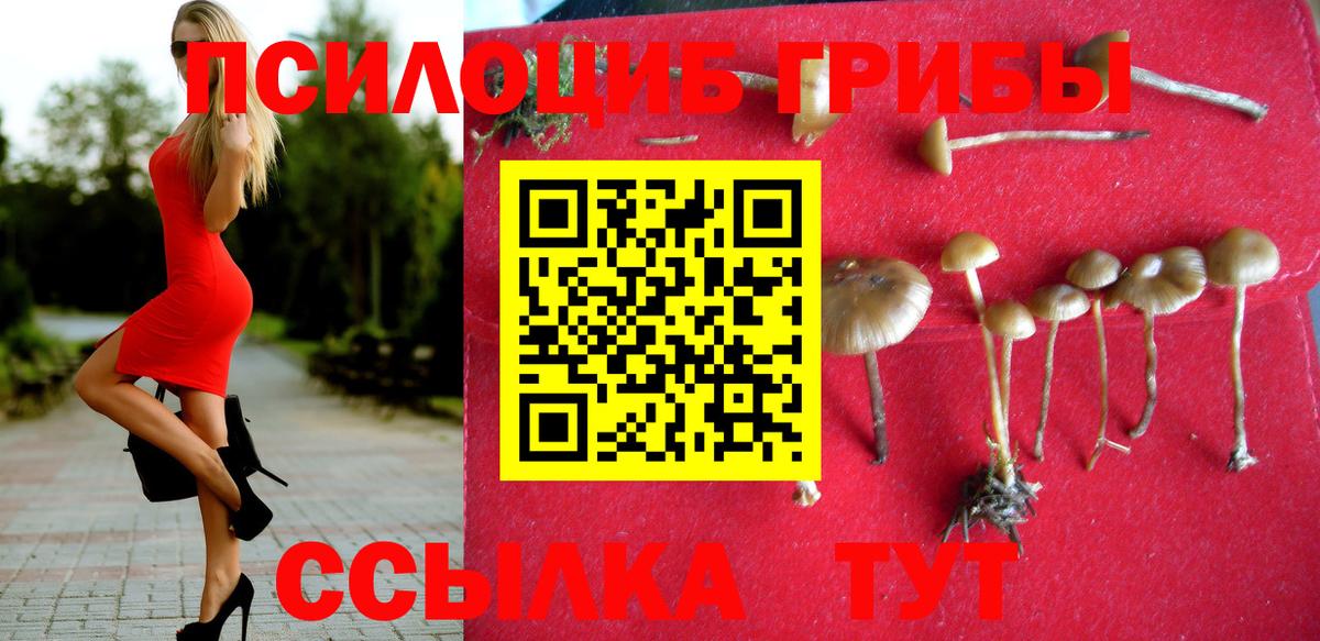 купить наркотики цена  Псилоцибиновые грибы мицелий  Вход с VPN  Барабинск 
